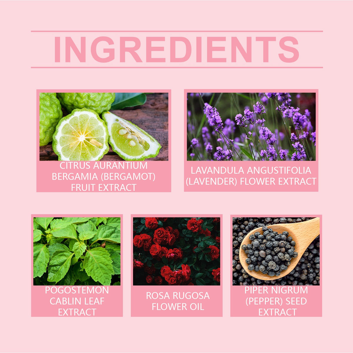 Fresh Everyday Perfume 100ml, Elegant Long-Lasting Scent