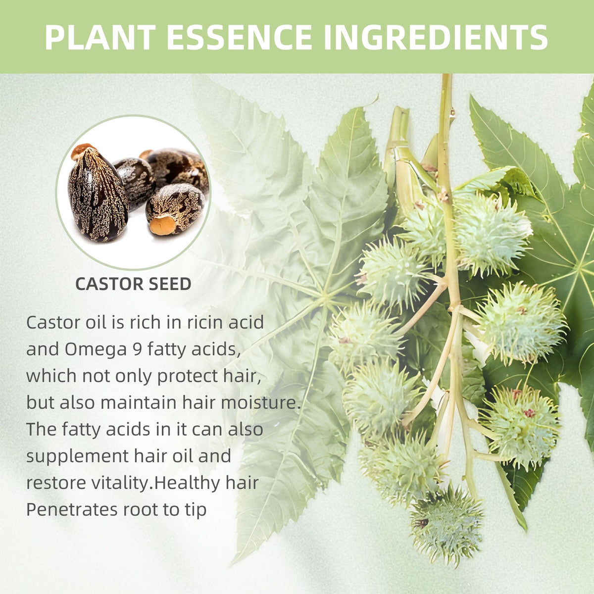 Black Castor Oil Capsules for Softer, Glossier Hair