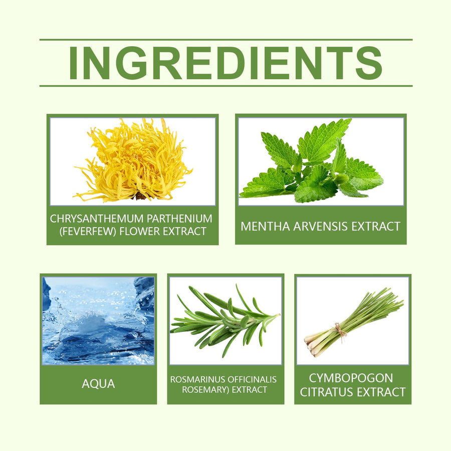Mint & Rosemary Mosquito Repellent Spray, 6-Hour Protection