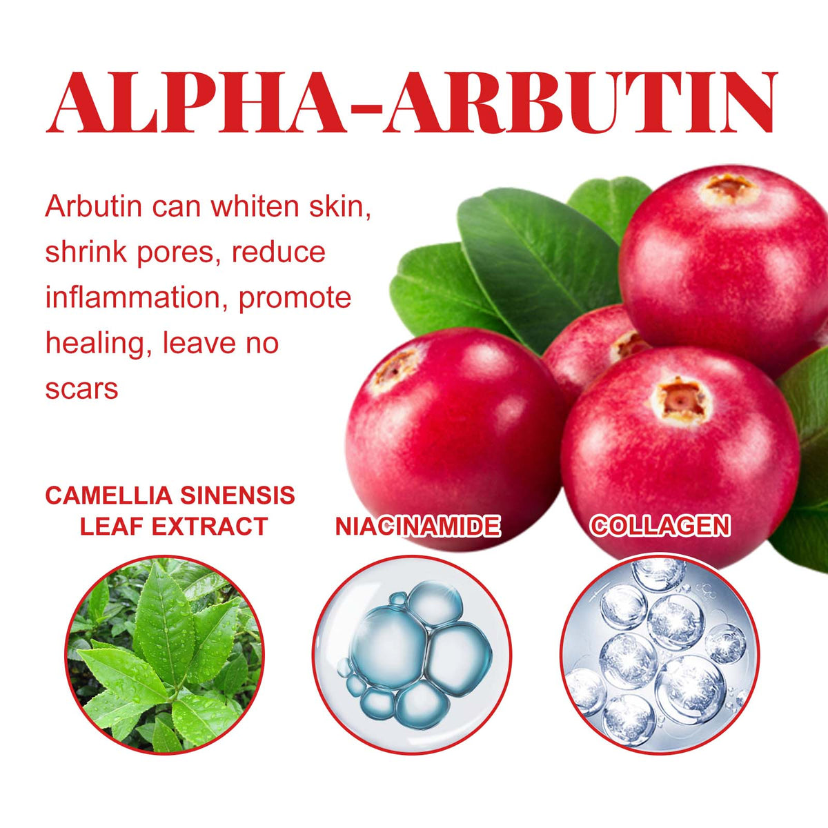 Alpha-Arbutin Serum for Dark Spots, Face & Body Tone