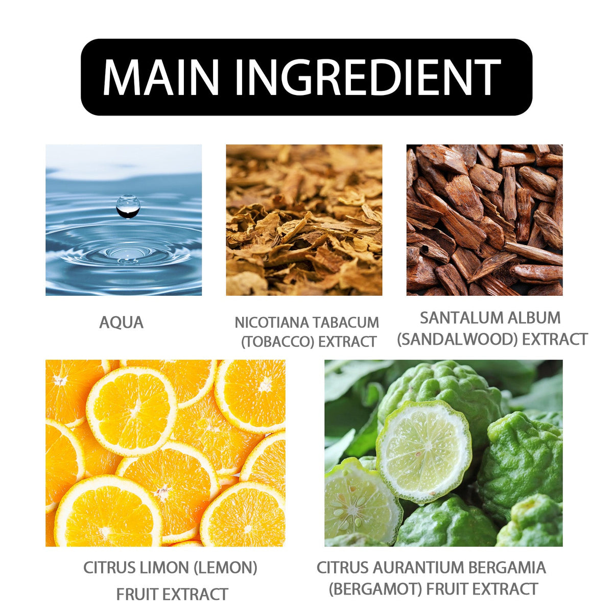 Neutral Wood Perfume – Long-Lasting Unisex Fragrance
