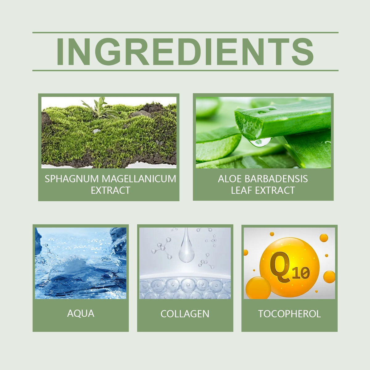 Q10 Anti-Wrinkle Cream With Aloe Vera For Fine Lines