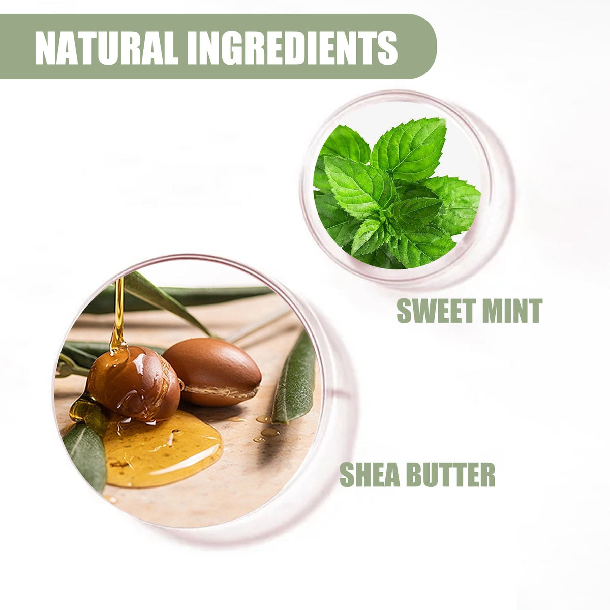 Sweet Mint Lip Balm for Instant Hydration & Shine