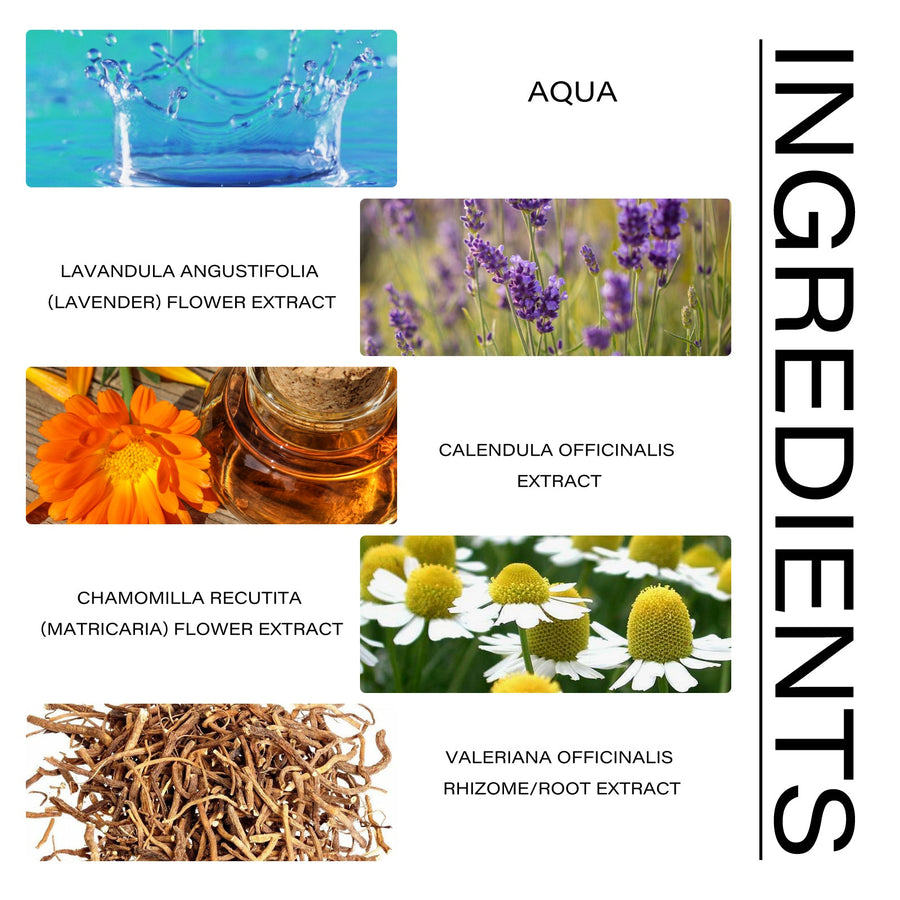 Lavender Sleep Cream – Natural Insomnia Relief