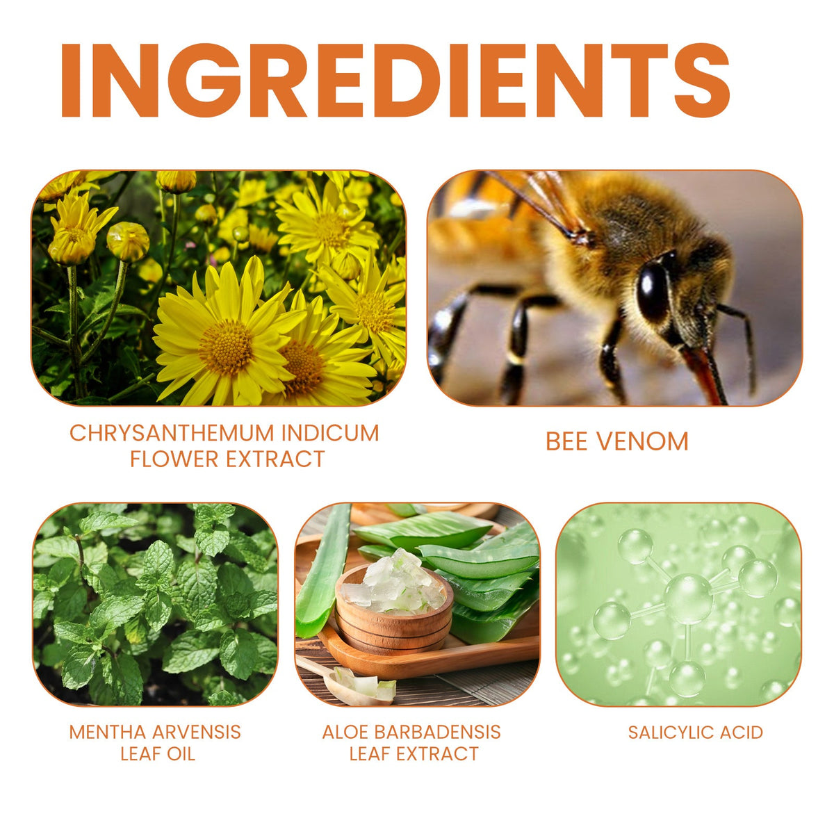 Bee Venom Cream for Daily Skin Care