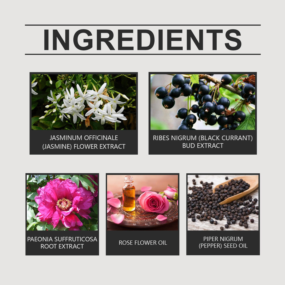 Floral Perfume Drops for a Fresh, Long-Lasting Scent