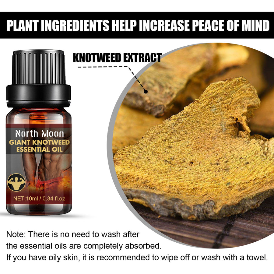 Giant Knotweed Endurance Oil — Plant-Based Performance Support