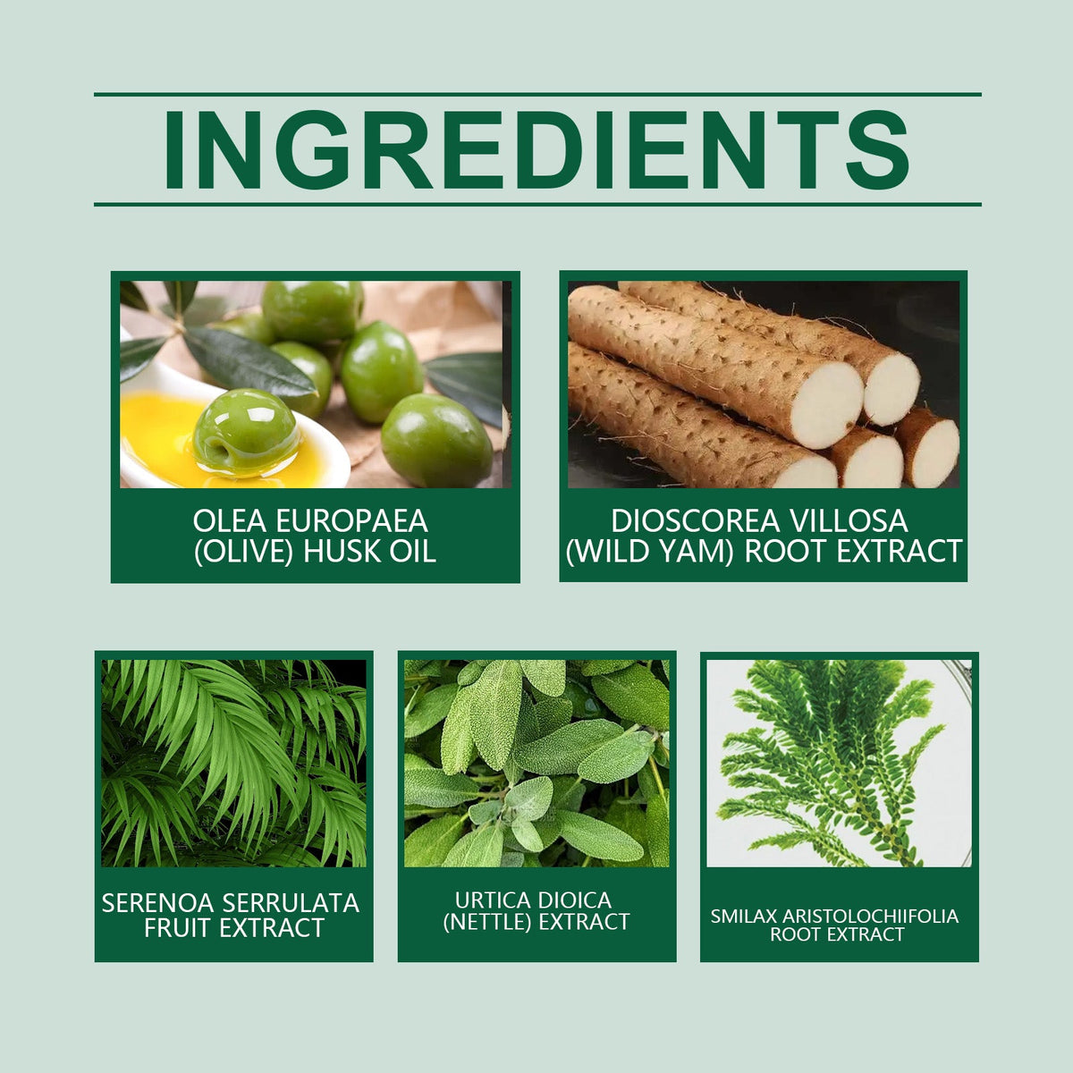 Men’s Body Balance Cream — Saw Palmetto Soothing Moisturizer