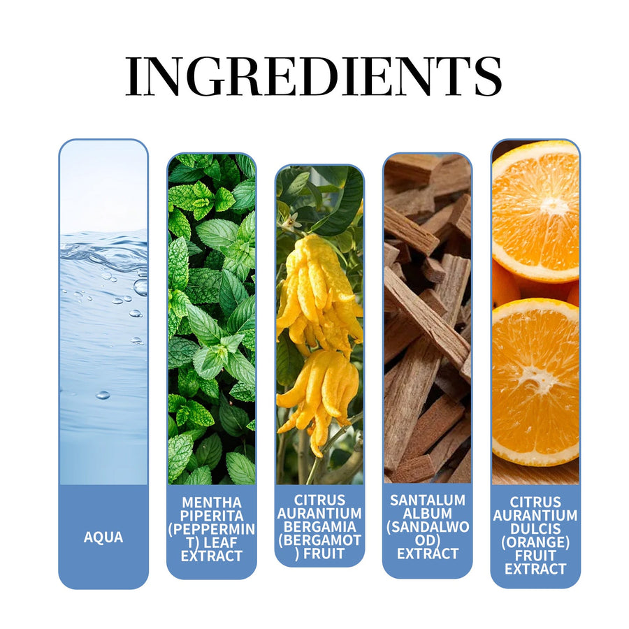 Mint Perfume Fresh Elegant Everyday Fragrance 100ml