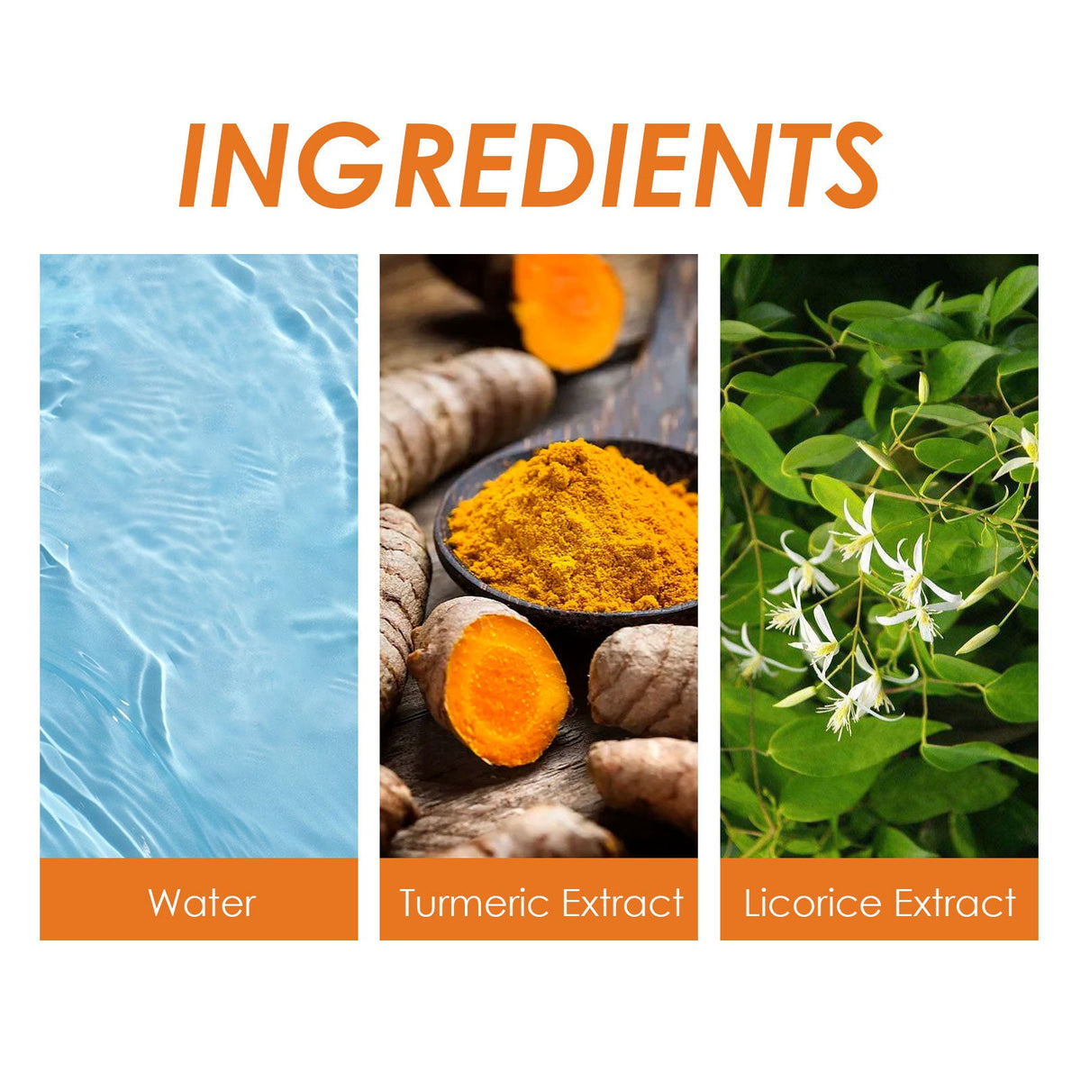 Turmeric Ginger Facial Cleanser for Dark Spots & Glow