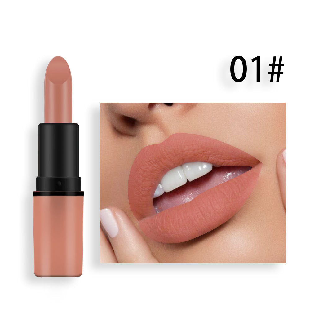 Matte Lipstick 12-Color Collection for Nude to Red Looks