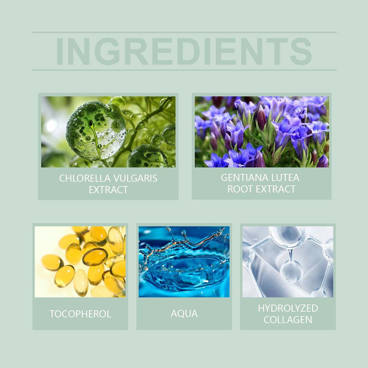 Herbal Exfoliating Gel for Clogged Pores & Dull Skin