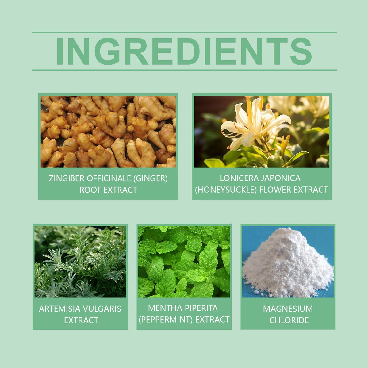 Herbal Foot Patches for Nightly Relief & Comfort