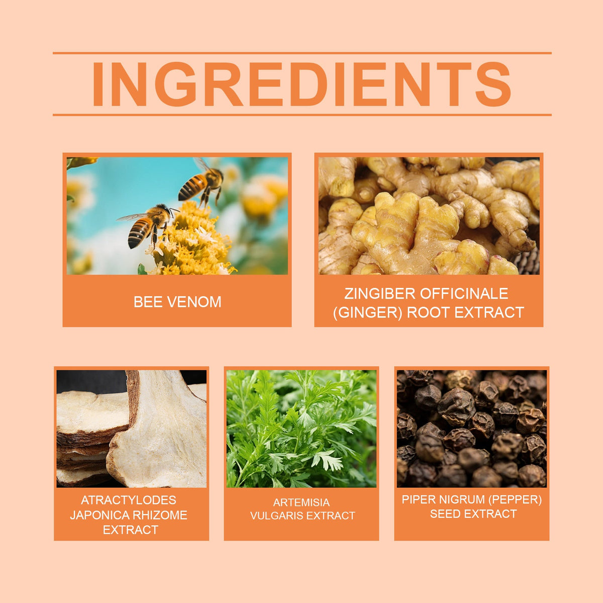Herbal Body Sculpting Patches with Bee Venom & Ginger