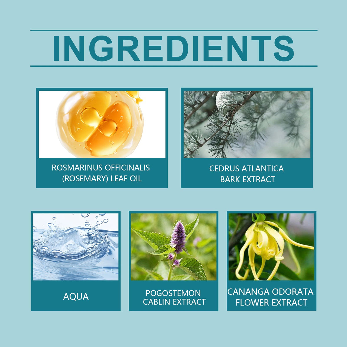 Cedar Blue Eau De Toilette Fresh Patchouli Fragrance