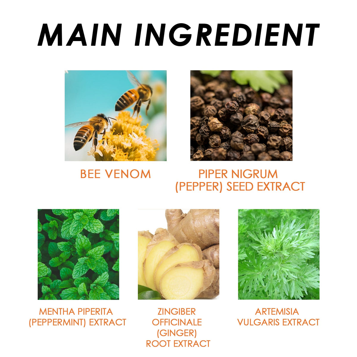 Bee Venom Body Patch for Bloating & Tummy Comfort
