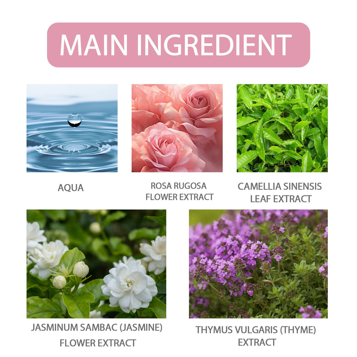 Rose Perfume for Women | Long-Lasting Floral Confidence
