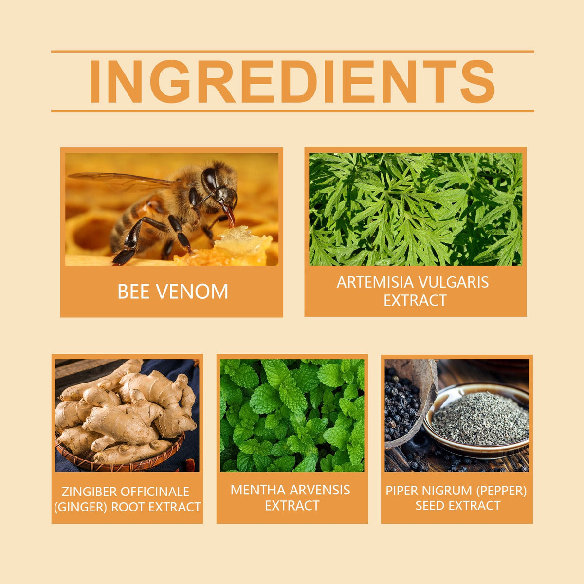 Bee Venom Body Firming Patches for Thighs & Belly