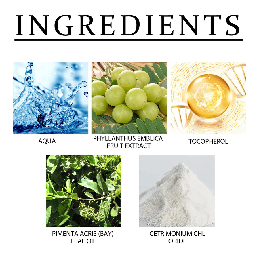 Amla Hair Conditioner for Smoother, Shinier, Healthier Hair