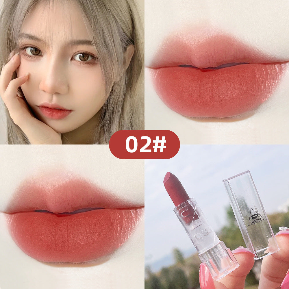 Matte Lipstick for Portable Everyday Color, Peach Pink