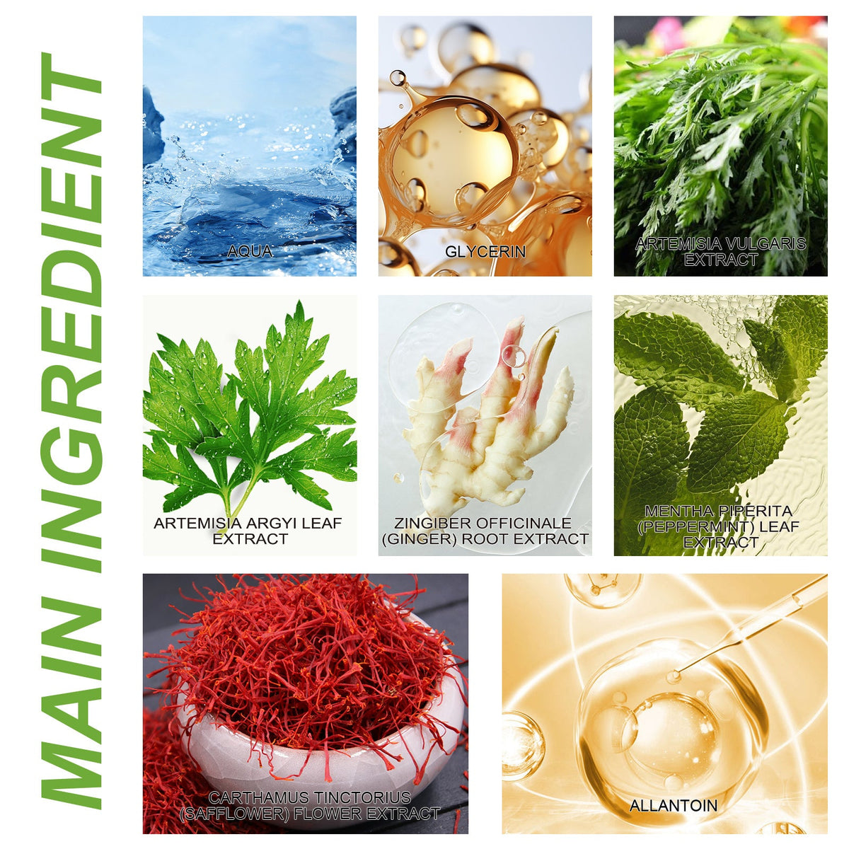 Wormwood Pain Patches – 12ct Plant‑Based Relief for Back