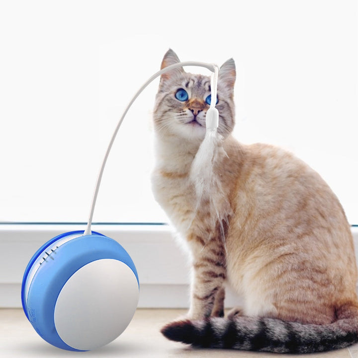 Interactive Cat Toy Tumbler For Indoor Chase Play