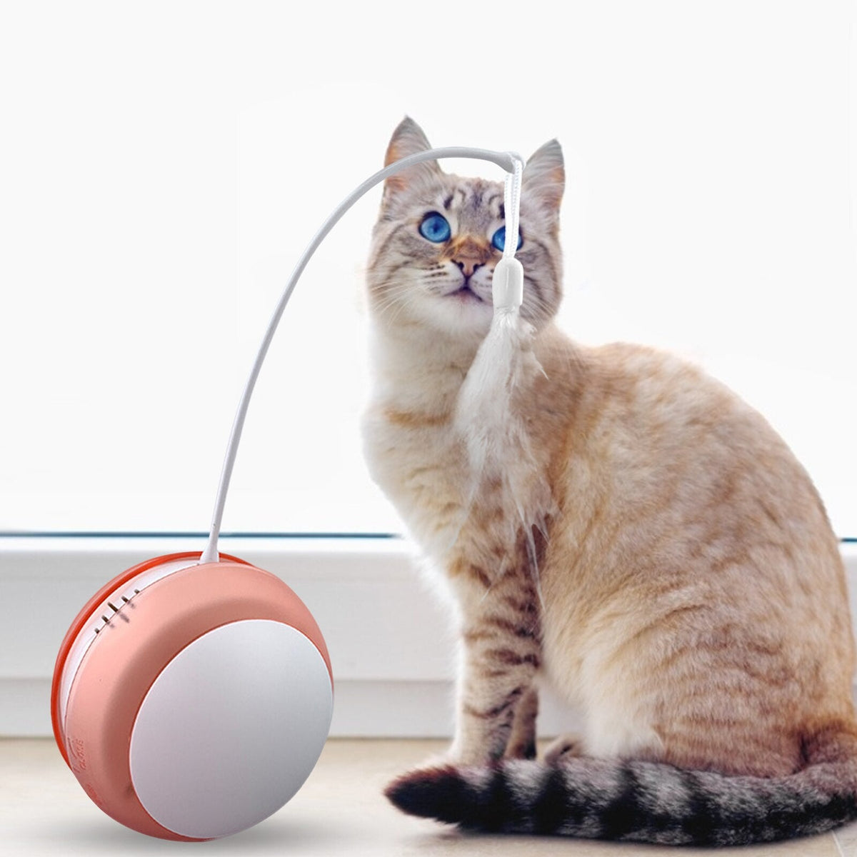 Interactive Cat Toy Tumbler For Indoor Chase Play