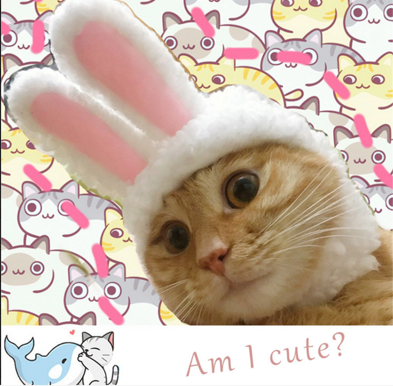 Bunny Rabbit Hat for Cats & Small Dogs | Easter Photos