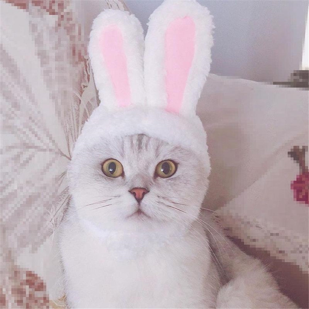 Bunny Rabbit Hat for Cats & Small Dogs | Easter Photos