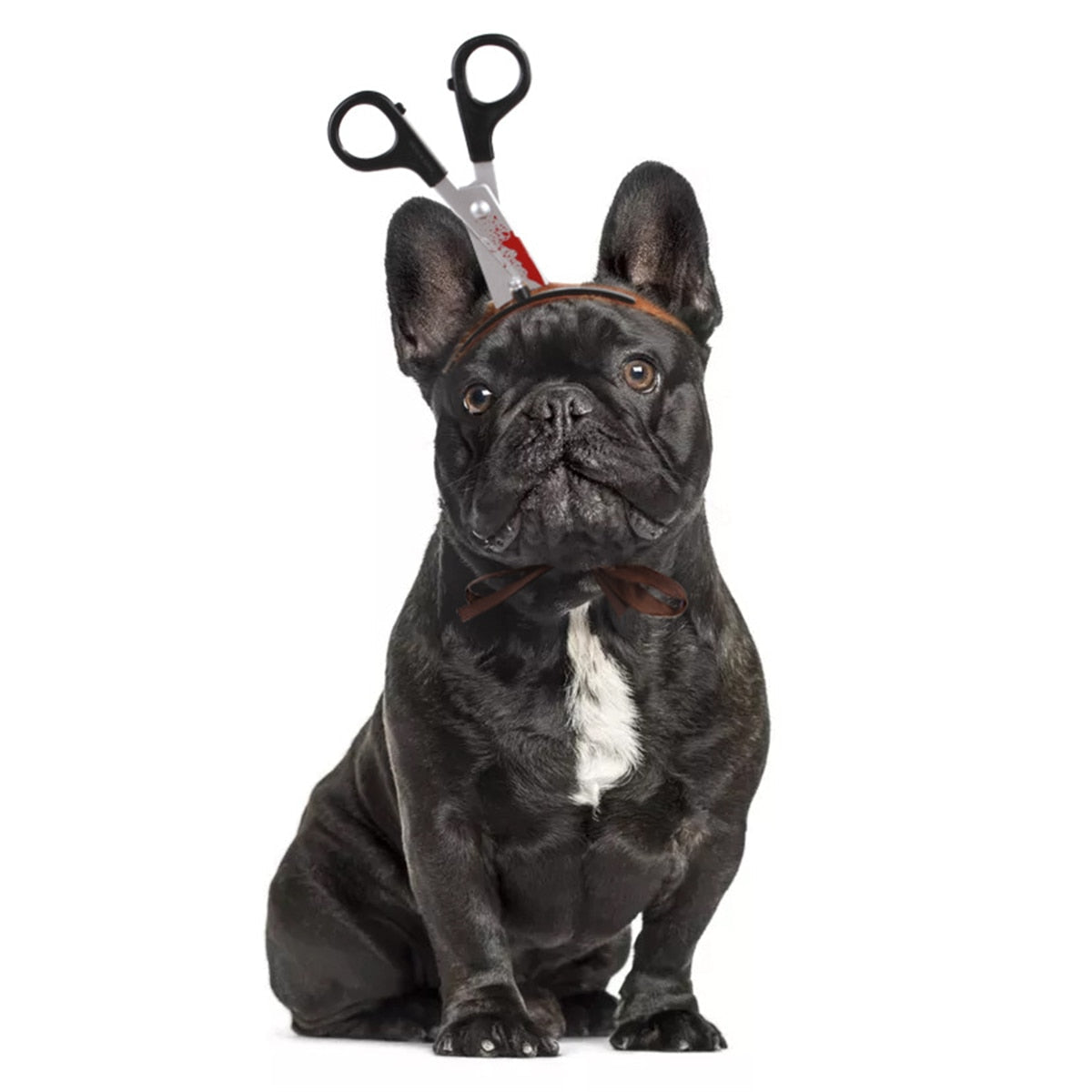 Pet Halloween Costume Headband for Funny Photos & Cosplay