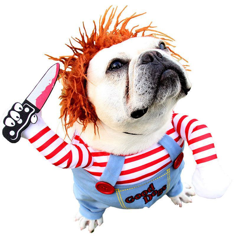 Pet Costumes for Cats & Small Dogs | Festive Photos