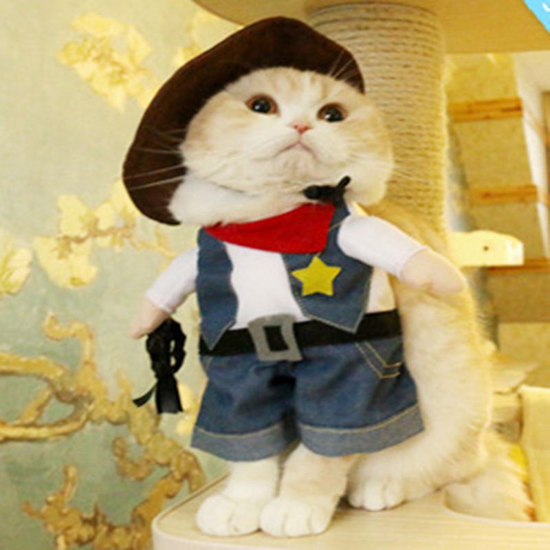 Pet Costumes for Cats & Small Dogs | Festive Photos