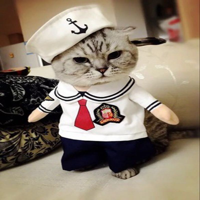 Pet Costumes for Cats & Small Dogs | Festive Photos