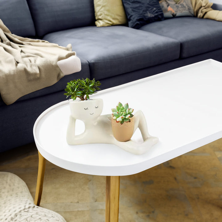 Funny Resin Succulent Planter: Playful Dual-Pot Decor
