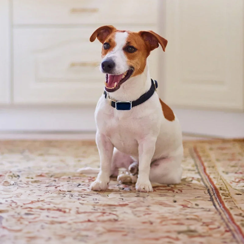 Pet Tracker Collar — Waterproof Anti-Loss Protection