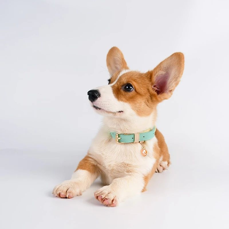 Genuine Leather Pet Collar With Stylish Secure Comfort