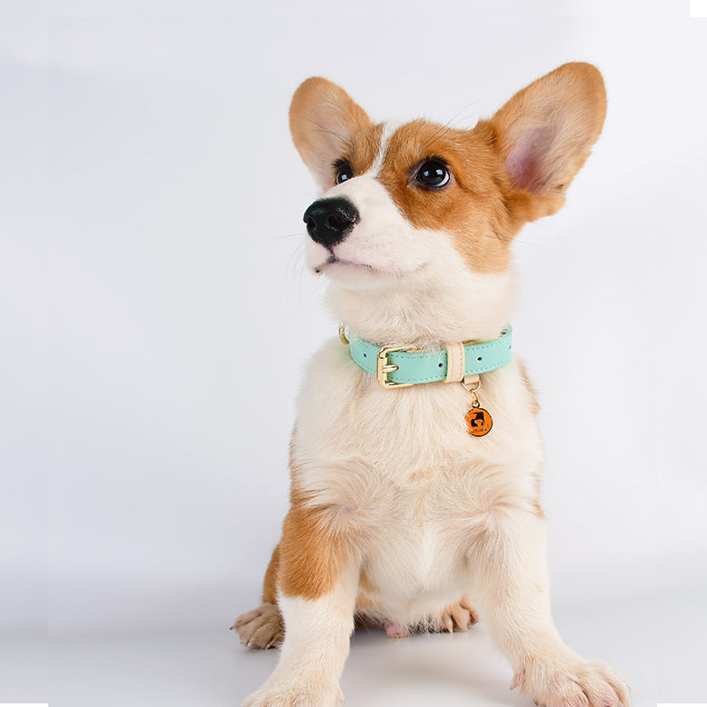 Genuine Leather Pet Collar With Stylish Secure Comfort