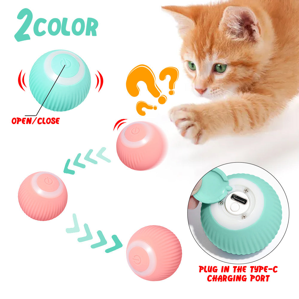 Interactive Cat Ball for Indoor Exercise & Enrichment