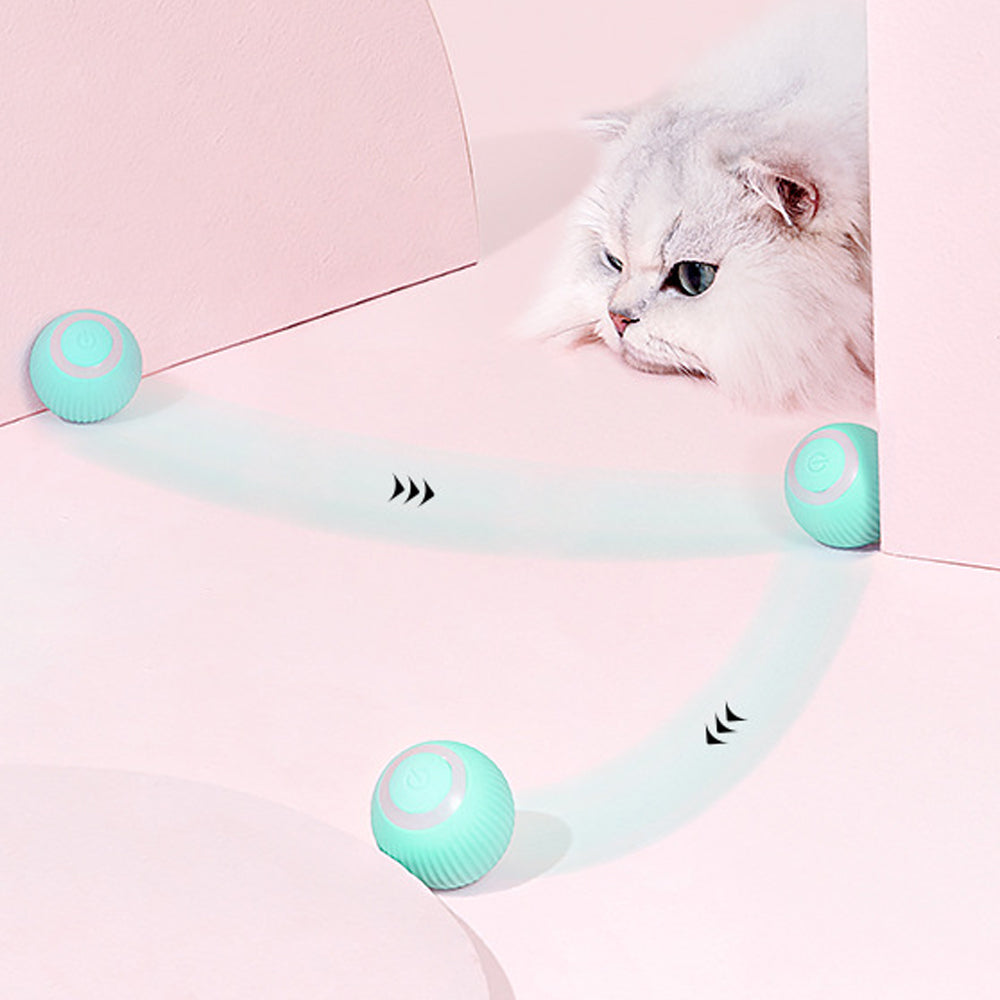 Interactive Cat Ball for Indoor Exercise & Enrichment