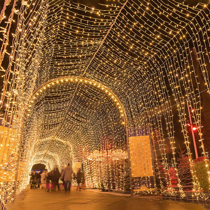 Outdoor LED Curtain String Lights for Holiday Displays