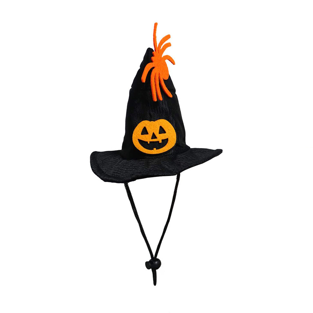 Halloween Cat Hat & Cape Costume Set for Festive Photos