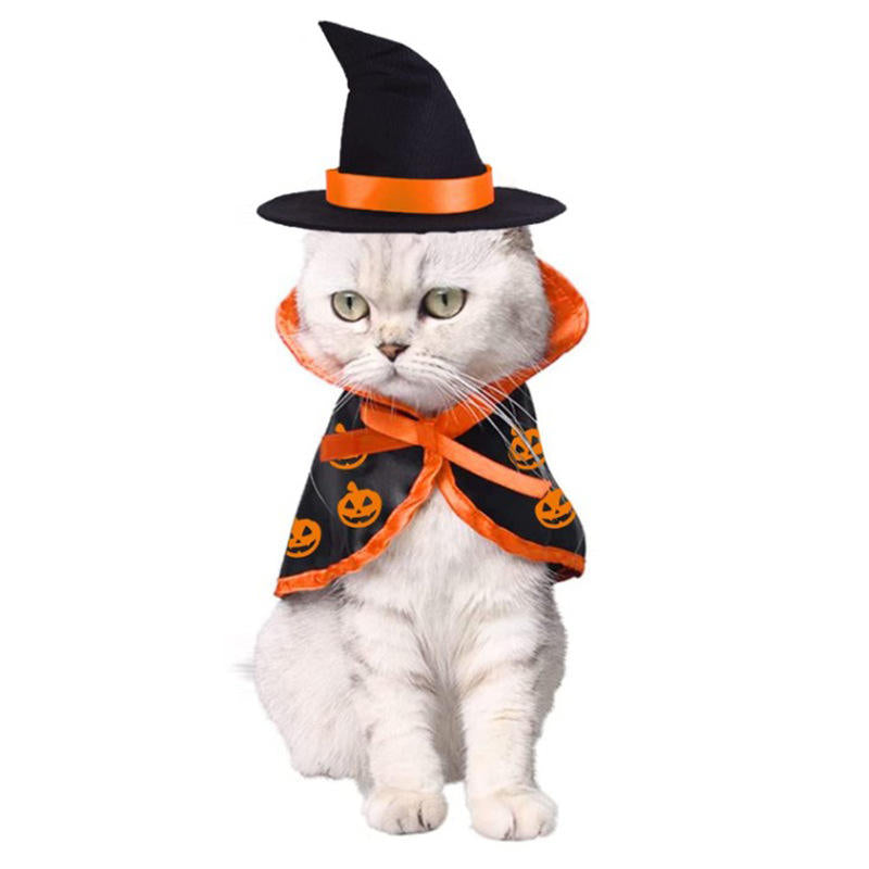 Pet Halloween Cloak Costume With Pumpkin Witch Hat