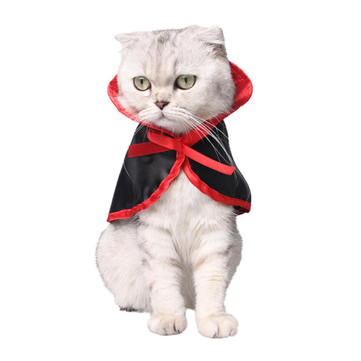 Pet Halloween Cloak Costume With Pumpkin Witch Hat