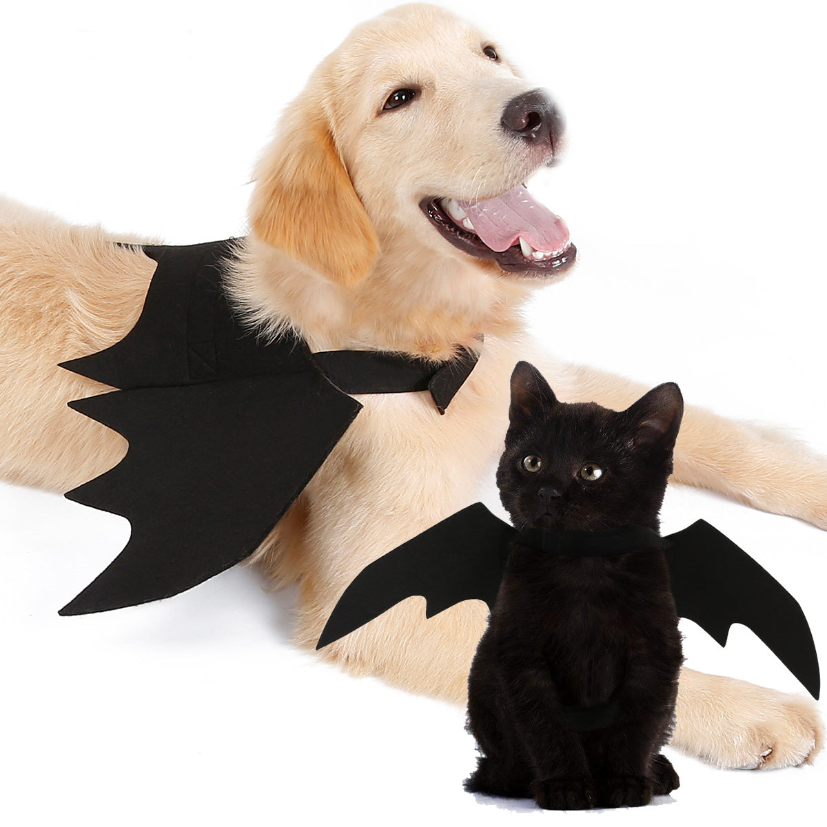 Halloween Dog Bat Wings Costume for Photo-Ready Pets