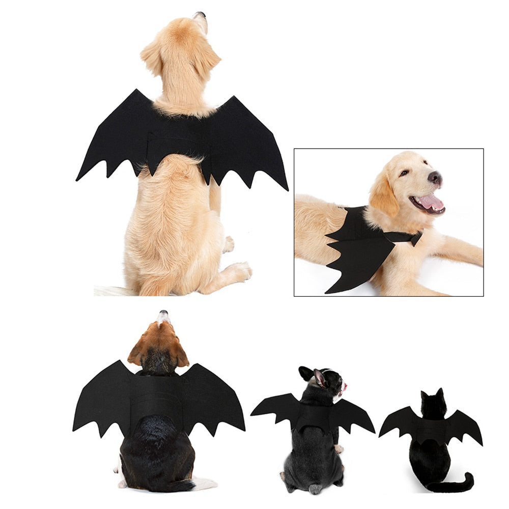Halloween Dog Bat Wings Costume for Photo-Ready Pets