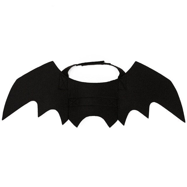 Halloween Dog Bat Wings Costume for Photo-Ready Pets