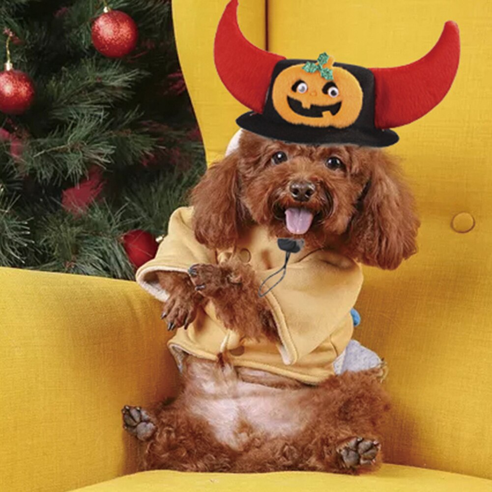 Pet Halloween & Christmas Hats for Festive Holiday Photos