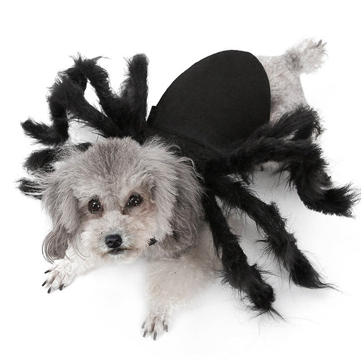 Spider Pet Costume for Halloween Funny Plush Look