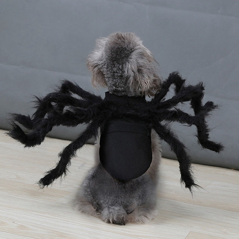 Spider Pet Costume for Halloween Funny Plush Look