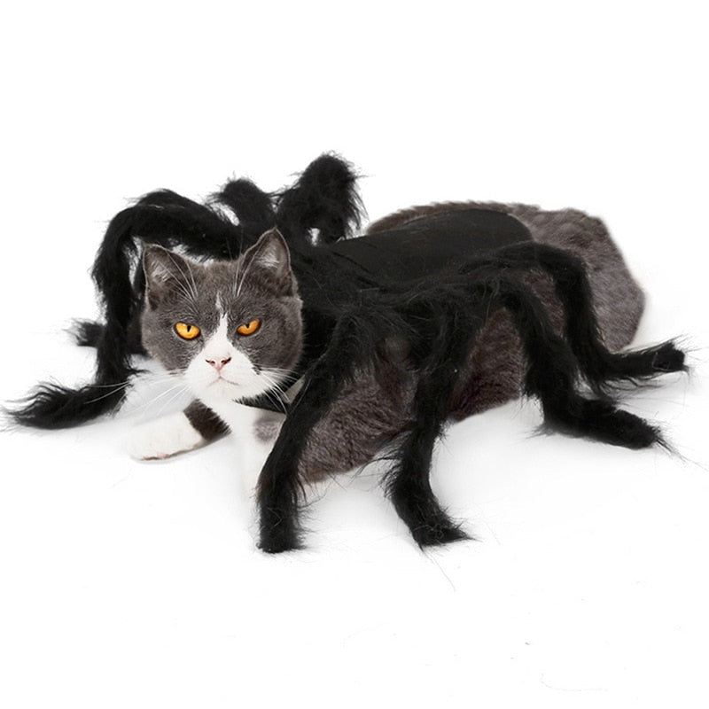 Spider Pet Costume for Halloween Funny Plush Look